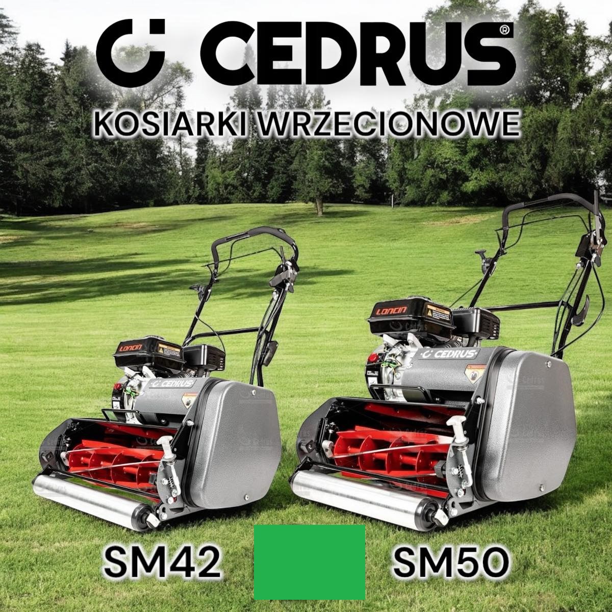 Top manufacturers of spindle mowers.