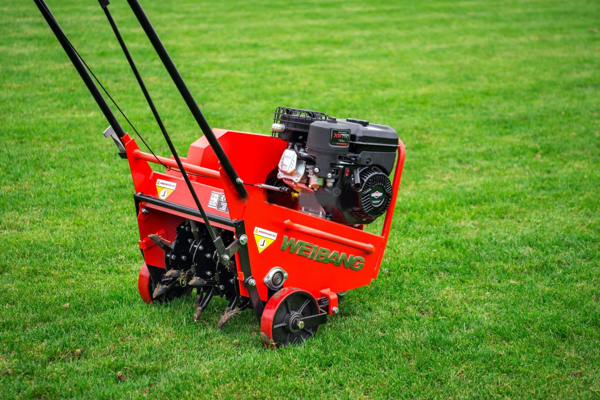 Scarifying and Aerating the Lawn in Autumn | Step-by-Step Guide