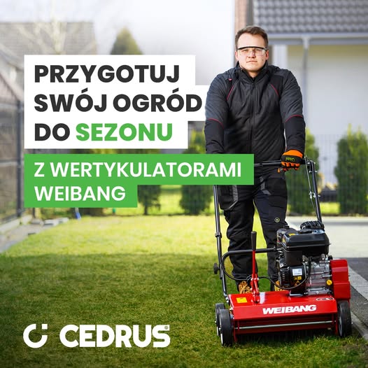 Jaki wertykulator wybrać i gdzie najlepiej kupić go online? Kompletny poradnik dla wymagających posiadaczy trawników (na przykładzie oferty sklepów internetowych z profesjonalnym sprzętem ogrodowym)
