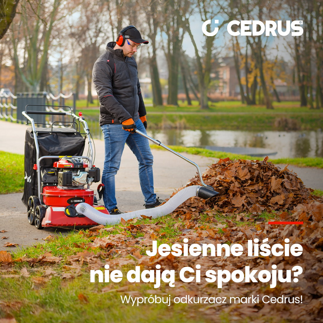 Jaki odkurzacz ogrodowy do liści na jesień? Poradnik wyboru mocnego sprzętu + gdzie kupić online w dobrej cenie