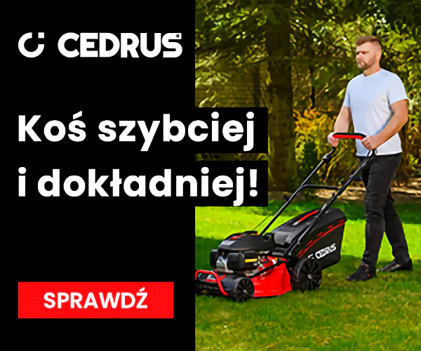 Cedrus co to za firma i jakie produkty oferuje ta marka
