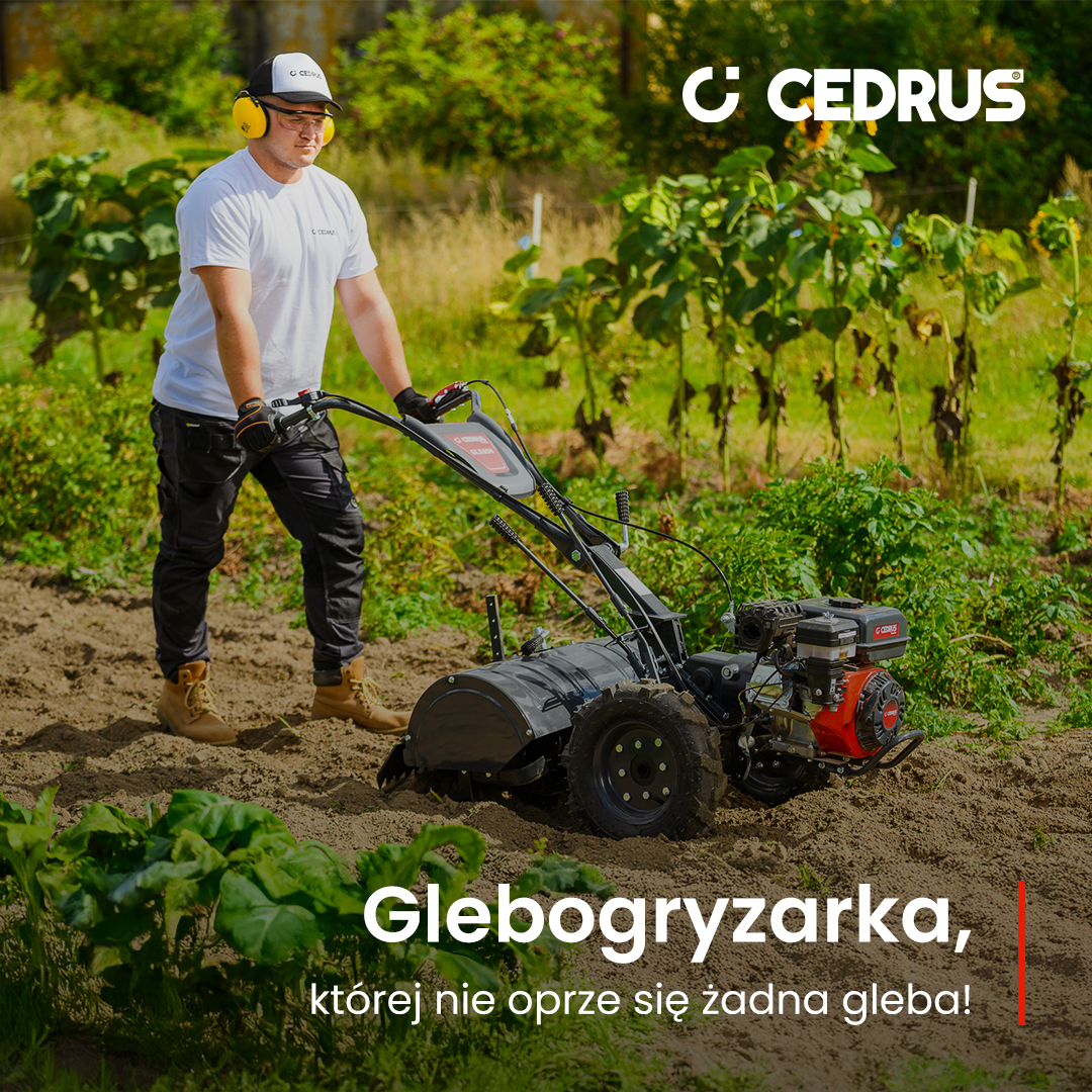 Glebogryzarka do ogrodu 2026 – jak wybrać idealny model? Porównanie CEDRUS vs Oleo-Mac z opiniami użytkowników