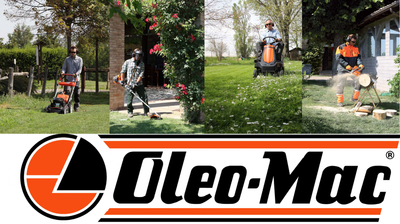 OLEO MAC SCA 38 R WERTYKULATOR SPALINOWY DO TRAWY METALOWA OBUDOWA PREMIUM 1800792 OFICJALNY DYSTRYBUTOR - AUTORYZOWANY DEALER OLEO MAC