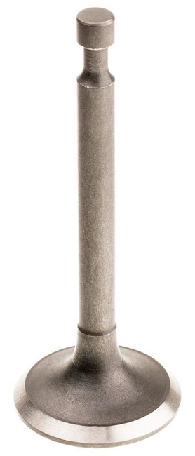 Cedrus Y196V intake valve 480485