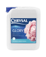 CHRYSAL GLORY DO BUKIETÓW ŚLUBNYCH – OP. UZUPEŁNIAJĄCE 5L OO-POKFFFN