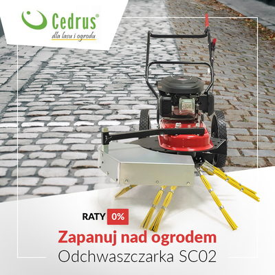 Odchwaszczarka spalinowa Cedrus SC02