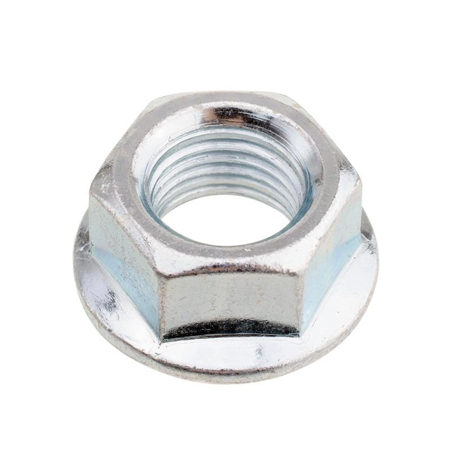 Magnet wheel nut Cedrus engine Y145V 481692