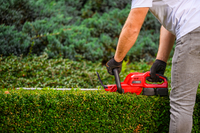 Nożyce akumulatorowe Cedrus CEDHT520LIX2 CEDHT520LIX2