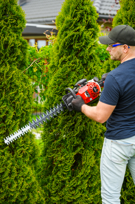 CEDRUS NZ02 SEKATOR NOŻYCE SPALINOWE DO ŻYWOPŁOTU KRZAKÓW KRZEWÓW SPALINOWE 61cm - EWIMAX - OFICJALNY DYSTRYBUTOR - AUTORYZOWANY DEALER CEDRUS