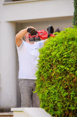 Nożyce akumulatorowe Cedrus CEDHT520LIX2 CEDHT520LIX2