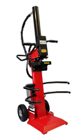 MASTERCUT JT10T-230 ŁUPARKA DO DREWNA HYDRAULICZNA ELEKTRYCZNA PIONOWA RĘBAK NACISK 10 TON 3,0KW 230V