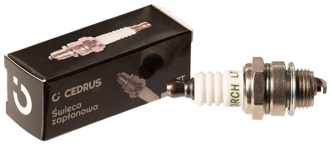 Cedrus L7T spark plug for chainsaws 10 pcs. packaged CEDSW004