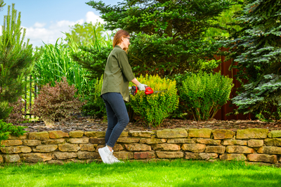 Nożyce akumulatorowe Cedrus CEDGS100LI CEDGS100LI