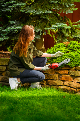Nożyce akumulatorowe Cedrus CEDGS100LI CEDGS100LI