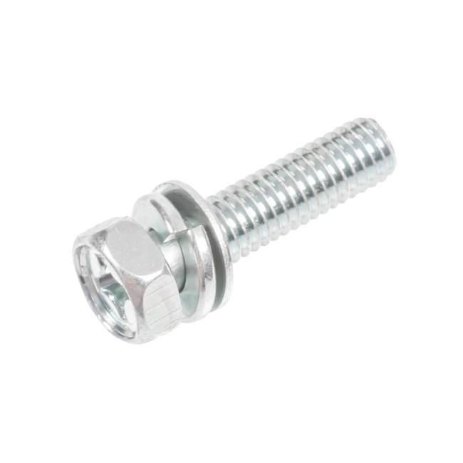 AG500 screw 314L-0624