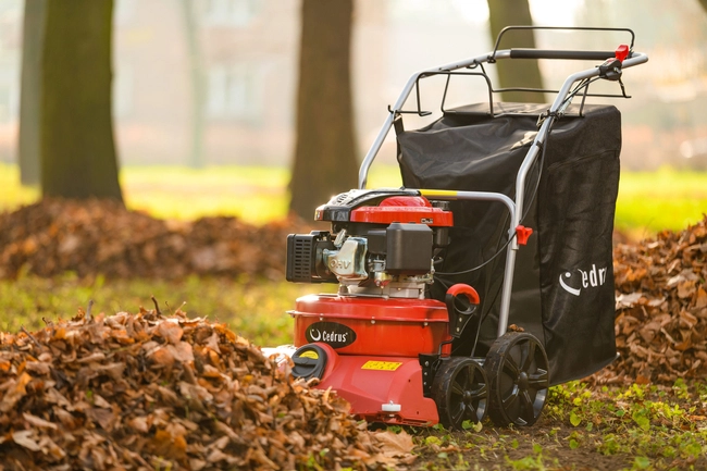 Sherpa petrol wheeled store leaf vacuum