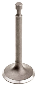 Cedrus Y196V exhaust valve 480486