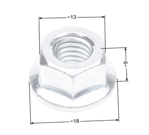 NAC market chainsaw guide mount nut NZ113