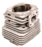 Cylinder Cifarelli BL6S kpl. 0G30900