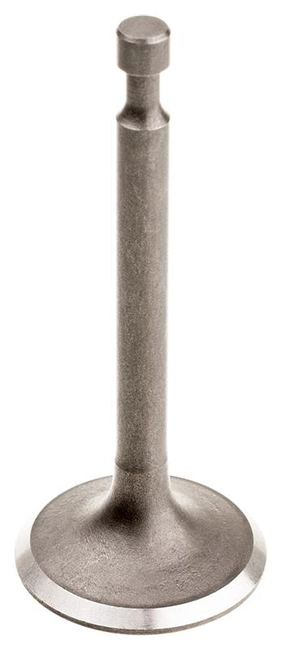 Cedrus Y196V exhaust valve 480486