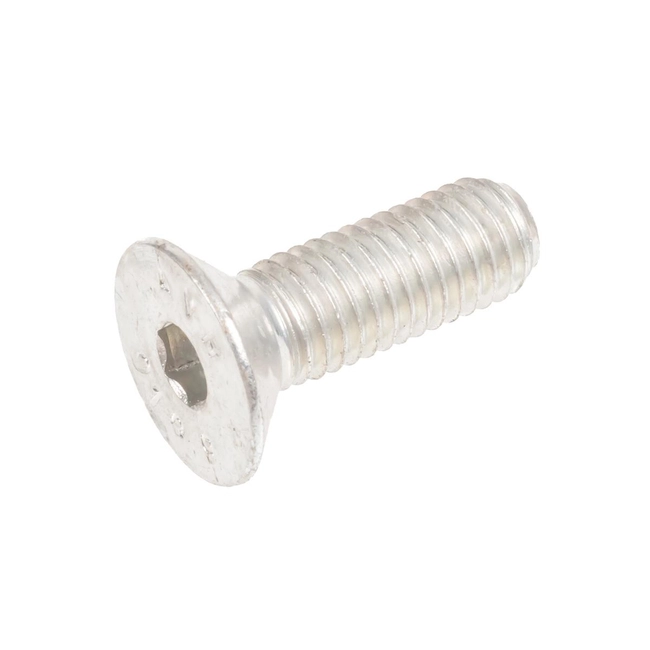 Screw 10x33 base BIO400 W10X33