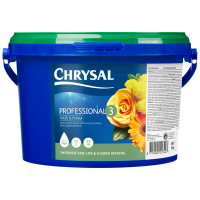 CHRYSAL PROFESSIONAL 3 – 2KG DO GĄBKI I GOTOWYCH KOMPOZYCJI / DO GIPSÓWKI OO-POKACN