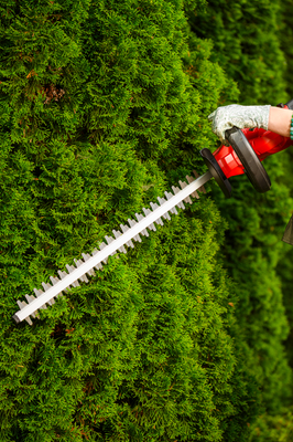 CEDRUS HT510 Li SEKATOR AKUMULATOROWY NOŻYCE DO ŻYWOPŁOTU KRZAKÓW KRZEWÓW CEDHT510LI 20V POWER+ OFICJALNY DYSTRYBUTOR - AUTORYZOWANY DEALER CEDRUS