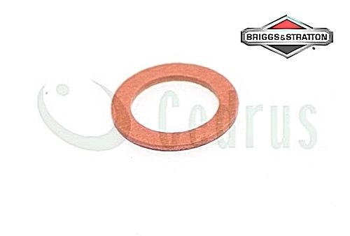 Float chamber bolt gasket B&S Intek V-Twin SERIES 7000 8000 PART ORIGIN 690997