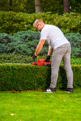 Nożyce akumulatorowe Cedrus CEDHT520LIX2 CEDHT520LIX2