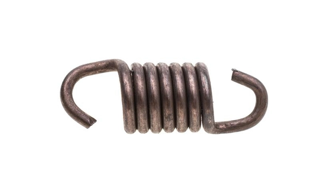 Cedrus shear clutch spring NZ01 020221